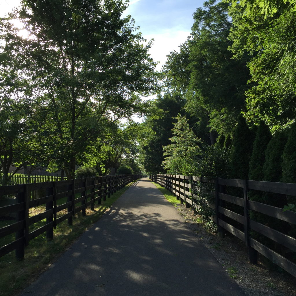 Brighton East Rail Trail Phase 4 and Pedestrian Bridge
