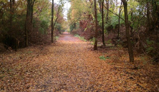 Brighton East Rail Trail Phase 4- COMPLETED