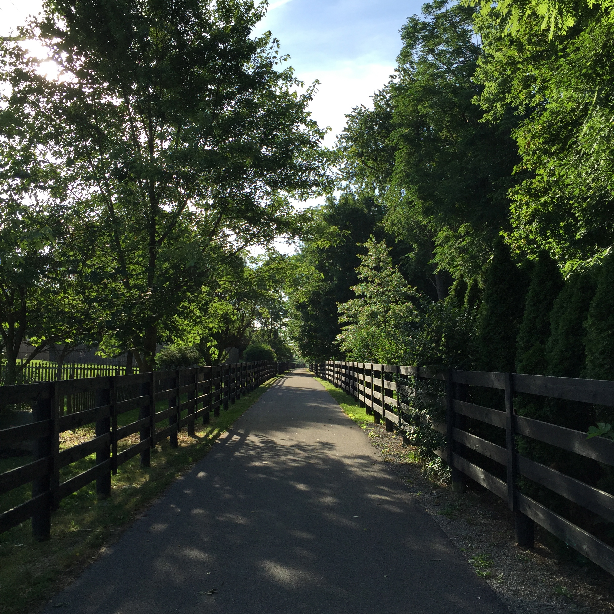 Brighton East Rail Trail Phase 4 (completed) and Pedestrian Bridge