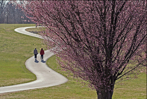 Beaumont YMCA Trail