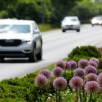 cars driving down Richmond road